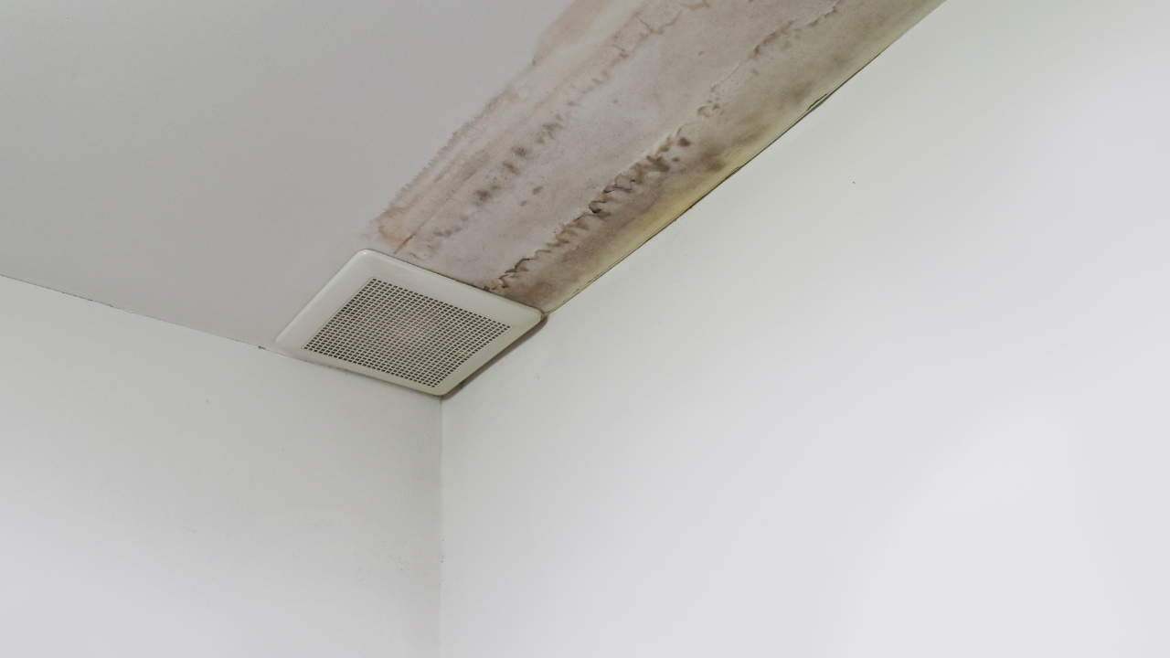 Leaks and Water Damage